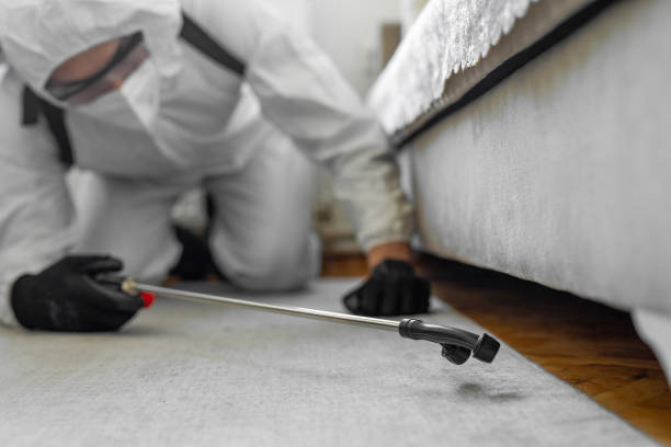 Professional Emergency Pest Control technician working in Rural Retreat, VA