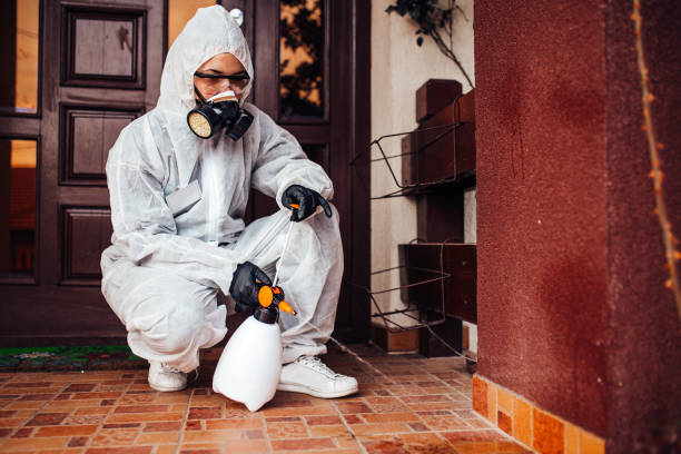 Reliable Emergency Pest Control contractor in Rural Retreat, VA by Nex Pest Control