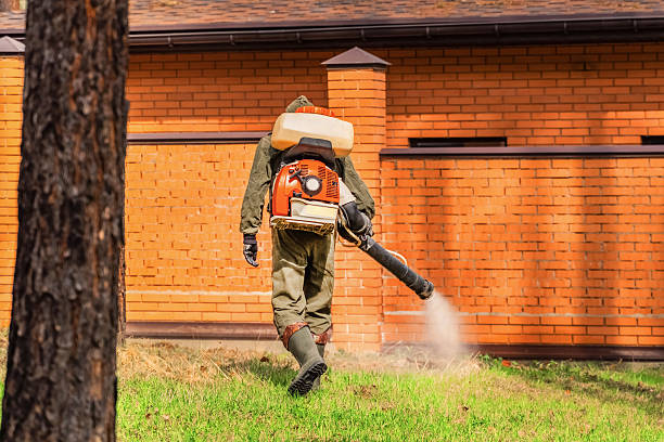 Trusted Rodent Control service in Rural Retreat, VA - Nex Pest Control
